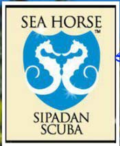 http://www.seahorse-sipadanscuba.com